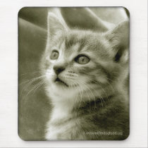 Bird Watching Mousepad