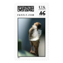 Bird With A Feather postage by TDSwhite Bird With A Feather postage