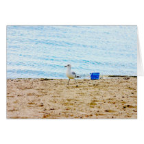 Bird with Sand Pail cards