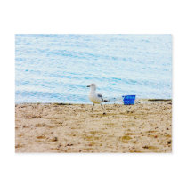 Bird with Sand Pail postcards