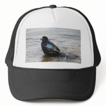 Birdbath Hat