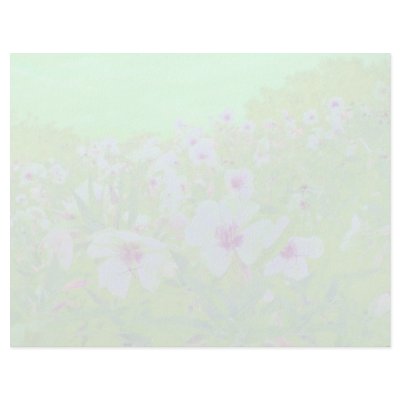 Birdcage Evening Primrose Pink flowers Custom Letterhead by blueyellowtube