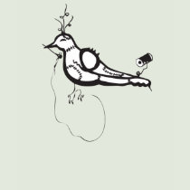 Birdcushion t-shirts