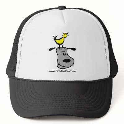 BirddogPlus Hat by scottlinson