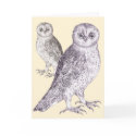 Birder Birthday Card - Owls, Great Pair of Hooters