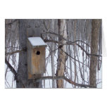 Birdhouse