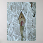 Birdhouse in ice encrusted tree posters