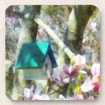 Birdhouse in Magnolia cork coasters