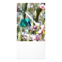 Birdhouse in Magnolia photo cards