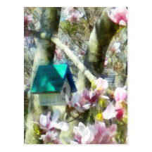 Birdhouse in Magnolia Post Cards