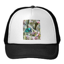 Birdhouse in Magnolia hats