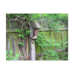 Birdhouse in Spring Postcards