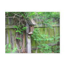 Birdhouse in Spring postcards by princessklb07 Birdhouse in Spring postcards