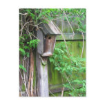 Birdhouse in Spring Postcards