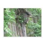 Birdhouse in Spring Post Cards
