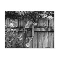 Birdhouse in Summer Postcard