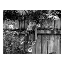 Birdhouse in Summer Postcard