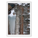 Birdhouse in the Pines cards