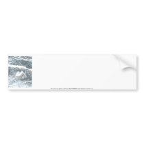 birdhouse in the snow bumper sticker