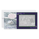 birdhouse in the snow, doves &amp; holly, blue, cuckoo photo cards