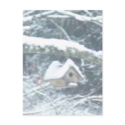 birdhouse in the snow postcard