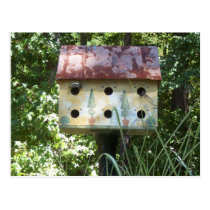 Birdhouse in the Sun postcards