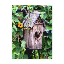 Birdhouse Postcards