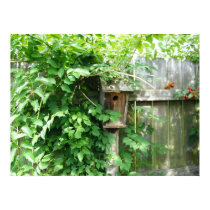 Birdhouse posters