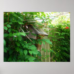 Birdhouse posters