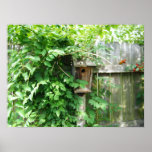 Birdhouse Poster