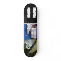birdhouse skateboards
