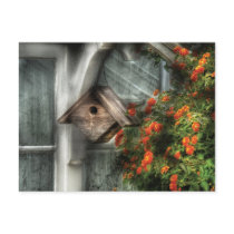 Birdhouse - The Birdhouse Post Cards