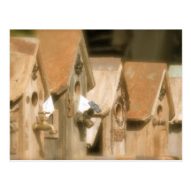 Birdhouses Post Card