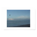 birdie birdie in the sky posters