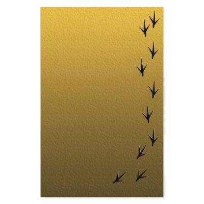 birdie feets stationery by wolffreeborn
