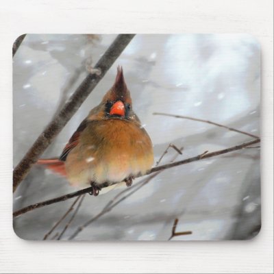 Birdie In The Blizzard - Mousepad by LoisBryan