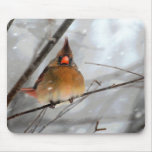 Birdie In The Blizzard - Mousepad
