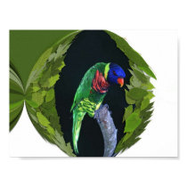Birdie posters