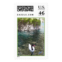 Birdie Stamp
