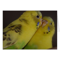 BirdieBird cards by whatthatis BirdieBird cards