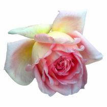 Birdlike Rose Photo Sculpture