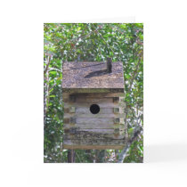 Birdnest Card