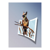 Birdog "Out of bounds" poster posters