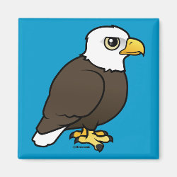 Adult Bald Eagle Square Magnet