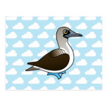 Birdorable Blue-footed Booby Postcard