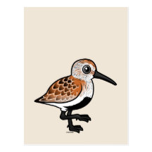 Birdorable Dunlin Postcard