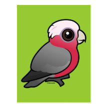 Birdorable Galah Postcard