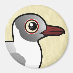 Gray-hooded Gull Round Magnet