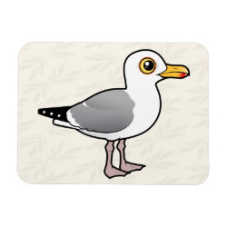 Herring Gull 3