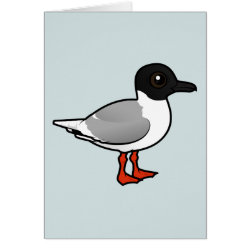 Little Gull Greeting Card